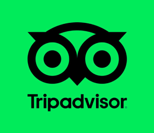 TripAdvisor Review